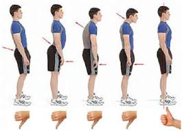 posicion-columna-bipedestacion-masajes-en-calla-ancha